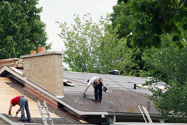Best Storm Damage Roof Repair  in Lexington, TX