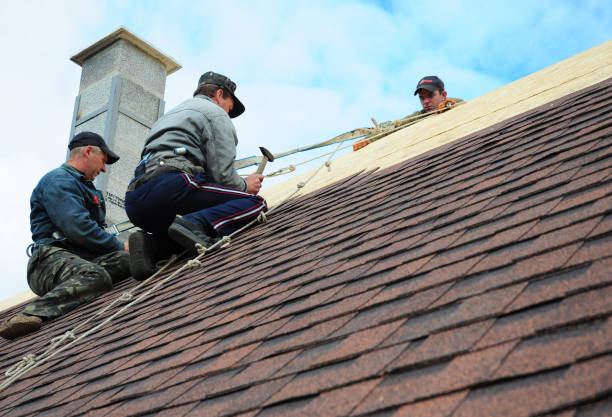 Best Metal Roofing Contractor  in Lexington, TX