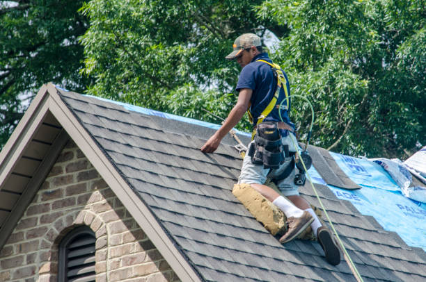 Gutter Installation and Roofing in Lexington, TX