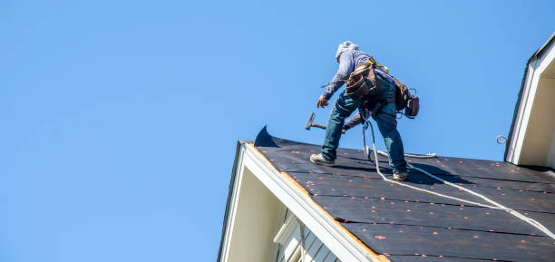 Best Roof Gutter Cleaning  in Lexington, TX